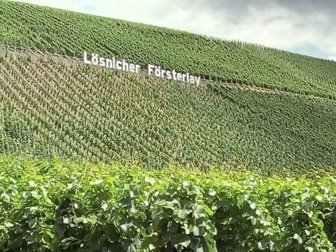 FB Losnicher Feuerplay 02