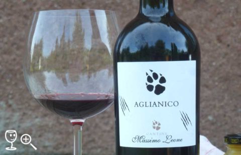 P1340036 Aglianico