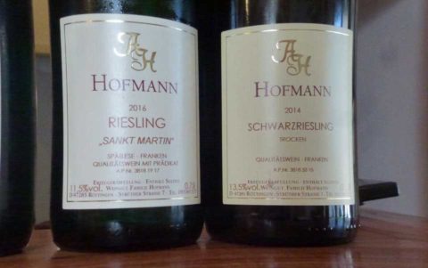BL P1340201 Schwarzriesling