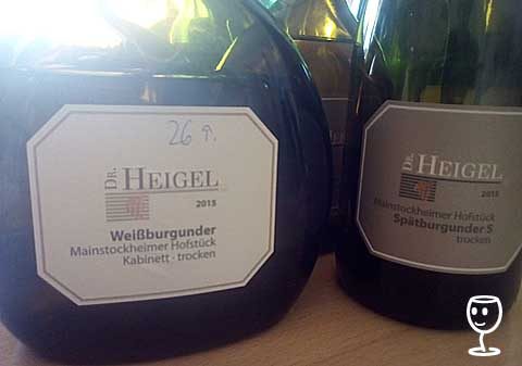 BL IMG_134704 Weissburgunder