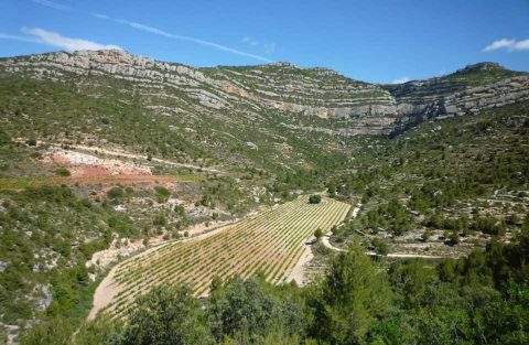 BL Montsant, ale vinice Priorat