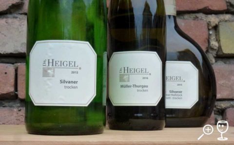 BL P1340457 copy Silvaner 1 LITR Dr Heigel