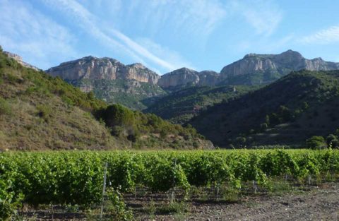 BL pohoří Montsant, ale vinice Priorat