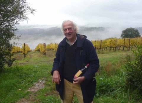 BL P1350158 Pietro Majnoni na vinici