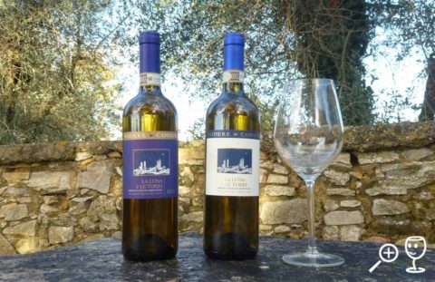 BL P1350195 2x Vernaccia a sklenka