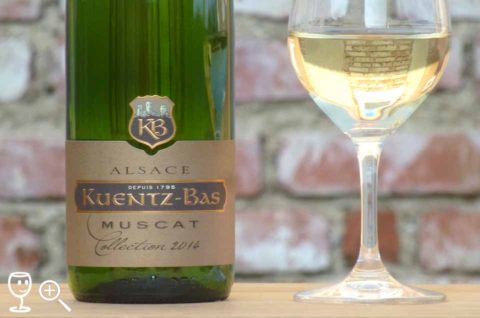 BL P1350846 Muscat Coll 2014