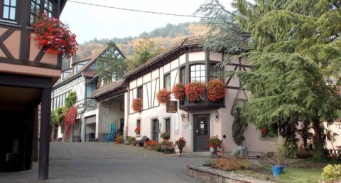 BL Vinařství KB foto web KB UPR