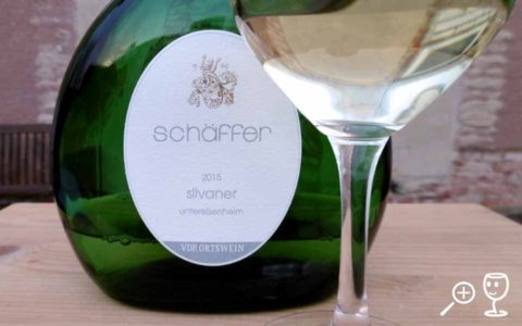 BL P1000060 Silvaner Untereisenheim