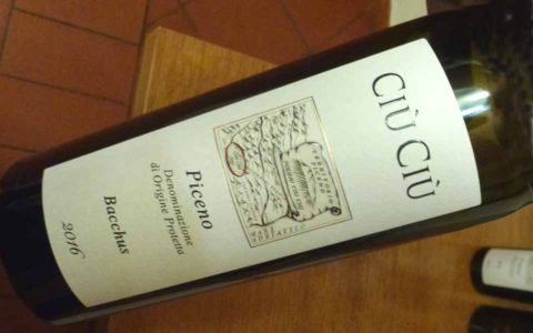 BL P1360193 Bacchus 2016