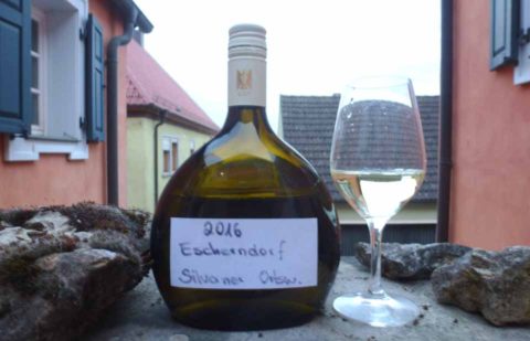 BL P1360301 Silvaner v Esch