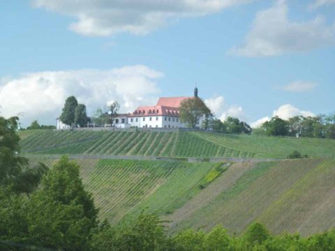 BL P1360687 Vogelsburg z druhé strany řeky