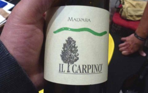 BL P1370079 Il Carpino Malvazija
