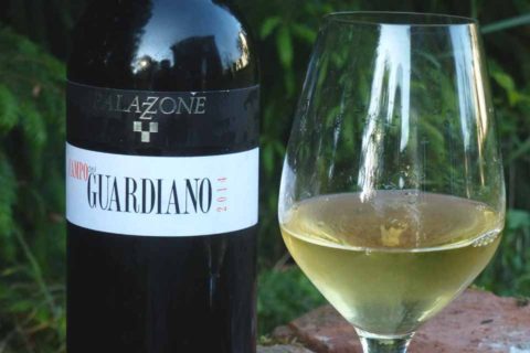 BL P1370158 Campo del G 2014