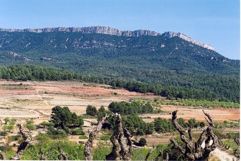 Sierra foto_7