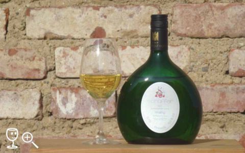 BL P1390218 2010 Riesling Esch Lump Schaffer