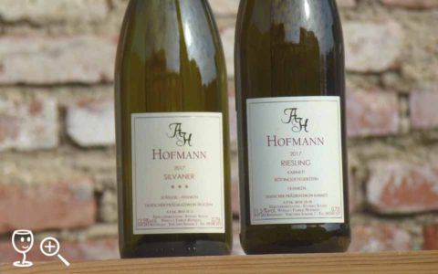 BL P1390325 Riesling KAB Hofmann