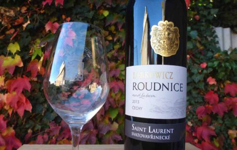 BL P1390387 SV 2013 Roudnice