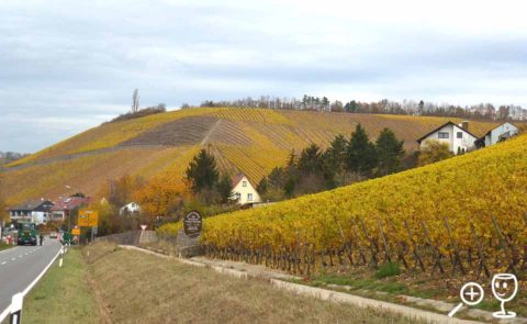 BL P1390482 Marsberg a Sonnenstuhl 2