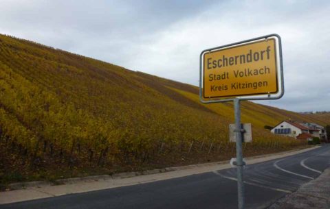 BL P1390494 Escherndorf cedule