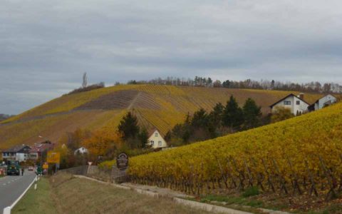 bl P1390482 RANDERSACKER Marsberg