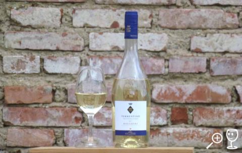 BL P1390992 Vermentino 2017 Antinori