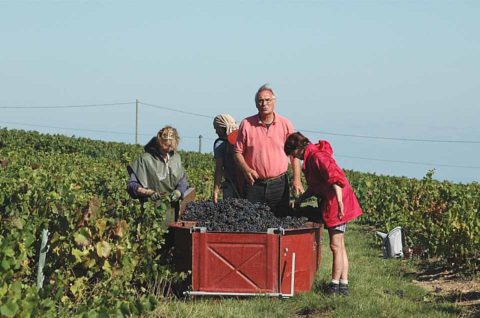 960 Jean Joly Harvest