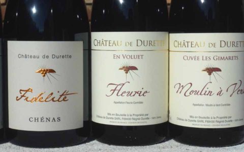 BL P1400444 Fleurie