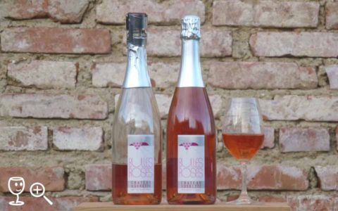 BL P1400582 Bulles Rosés