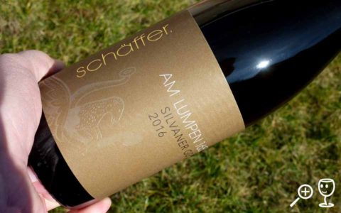 BL P1400603 2016 Silvaner Am Lumpen