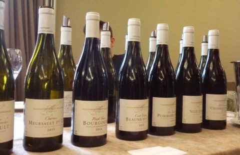 BL P1410284 Modni prehlidka Bourgogne