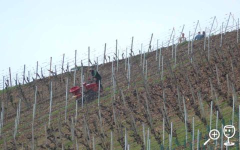 BL P1410362 Traktor na Lumpu