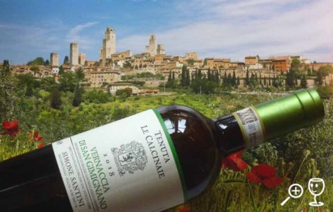 BL P1410724 Vernaccia DSG 2018 Santini