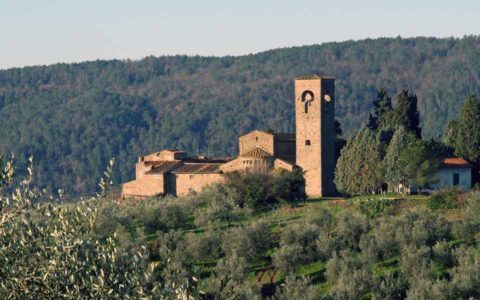 Carmignano Wiki