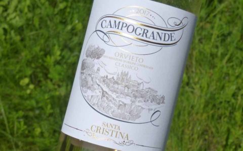 BL P1420104 Campogrande Orvieto 2017