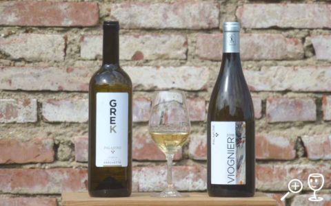 BL P1420208 GREK a Viognier