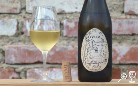 BL P1420337 Off the Grid Riesling Etiketa