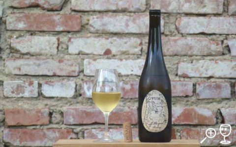 BL P1420342 Off the Grid Riesling OVUM