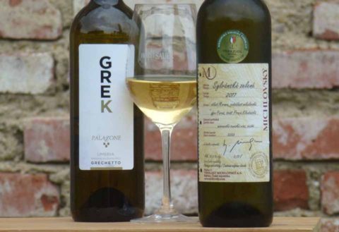 BL P1420364 Sylván 2017 zemské Michlovský