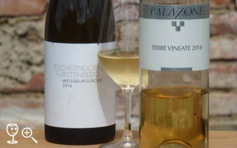 BL P1420874 Terre Vineate a Weissburgunder