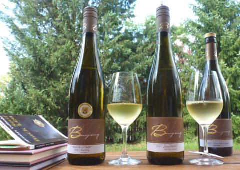 BL P1430134 2x Riesling na zahradě